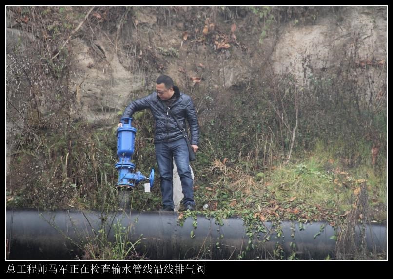 图片11
