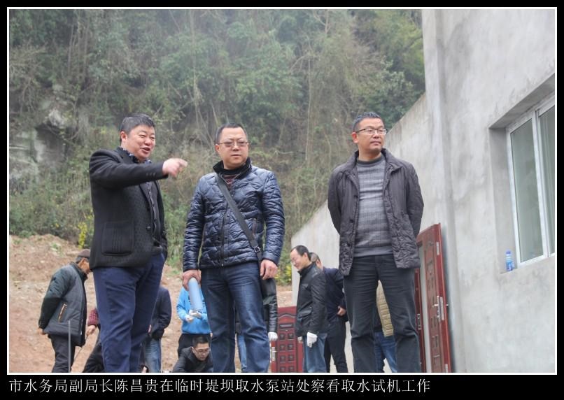 图片8