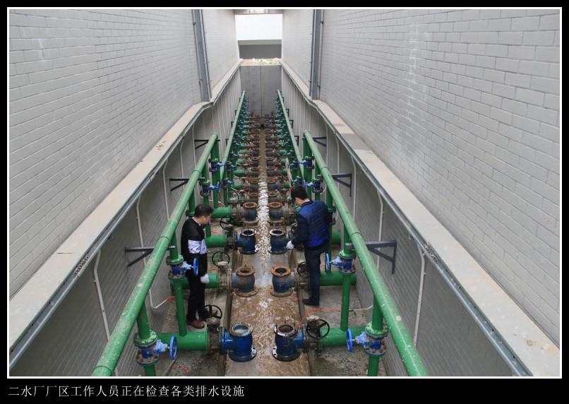 图片12