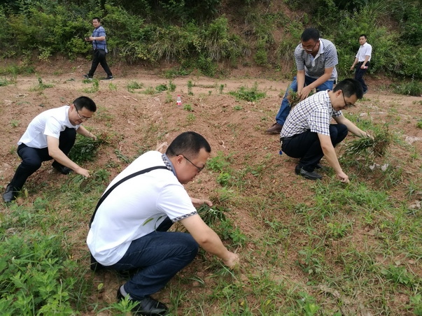 图片4_调整大小