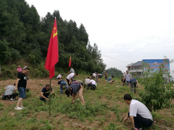 图片5_调整大小