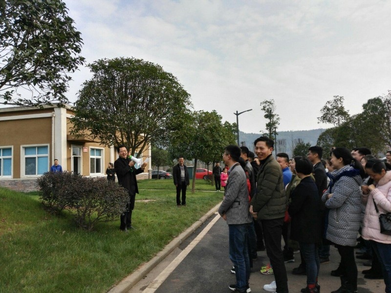 图片1_conew1