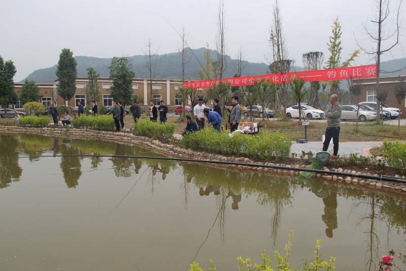 图片1_conew1