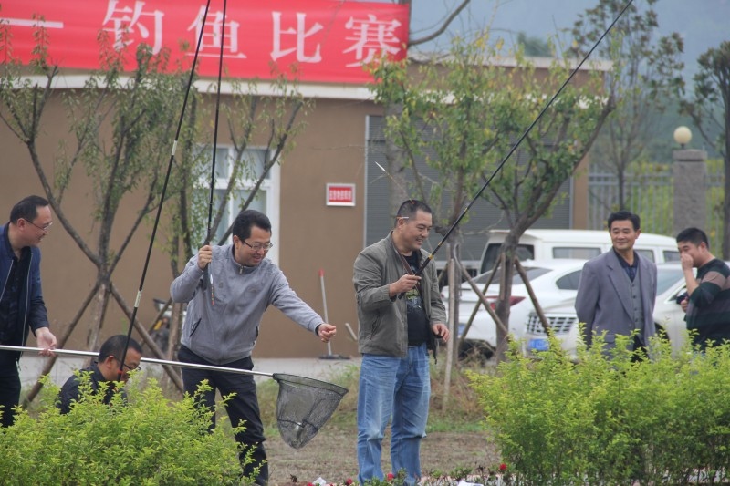 图片2_conew2