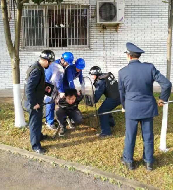图片3